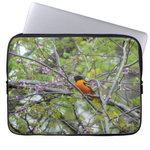 Capa Para Notebook Baltimore Oriole