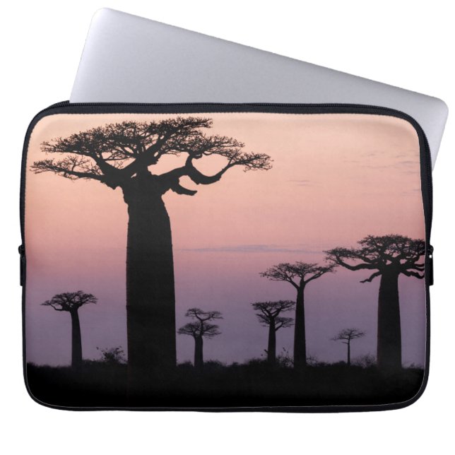 Capa Para Notebook Baobab Beco", Madagáscar, Morondava, África, (Frente)