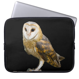 Capa Para Notebook Barn Owl