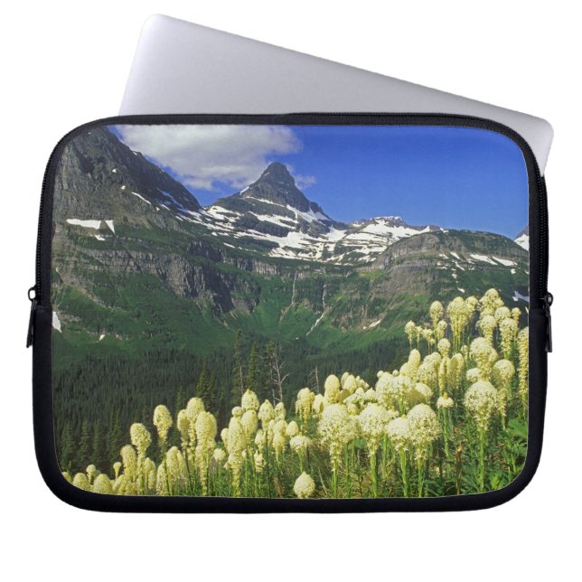Capa Para Notebook Beargrass no Logan Pass no Parque Nacional Glacier (Frente)