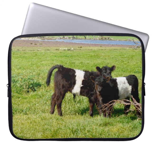 Capa Para Notebook Bebê Belado Vacas Galloway No País, (Frente)