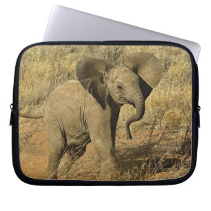 Capa Para Notebook Bebê Elefante Africano, Loxodonta Africana,