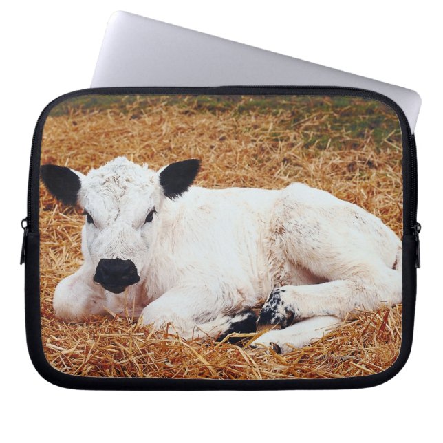 Capa Para Notebook Bebê Vaca, Vitelo (Frente)