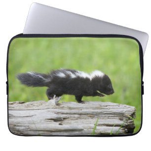 Capa Para Notebook Bebês Mais Pobres Bebê Skunk