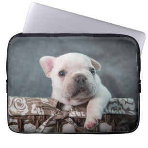 Capa Para Notebook Bebês Mais Pobres   Buldogue francês