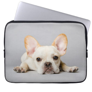 Capa Para Notebook Bebês Mais Pobres Buldogue Francês Deitado
