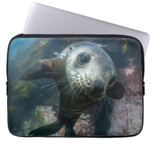 Capa Para Notebook Bebês Mais Pobres   Cabo de peles submarinas