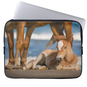 Capa Para Notebook Bebês Mais Pobres   Cavalo selvagem de Corolla rec