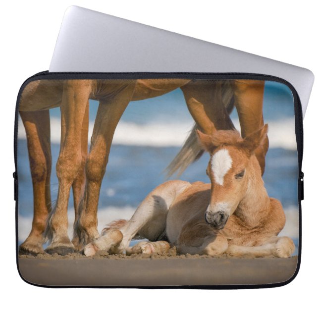 Capa Para Notebook Bebês Mais Pobres | Cavalo selvagem de Corolla rec (Frente)