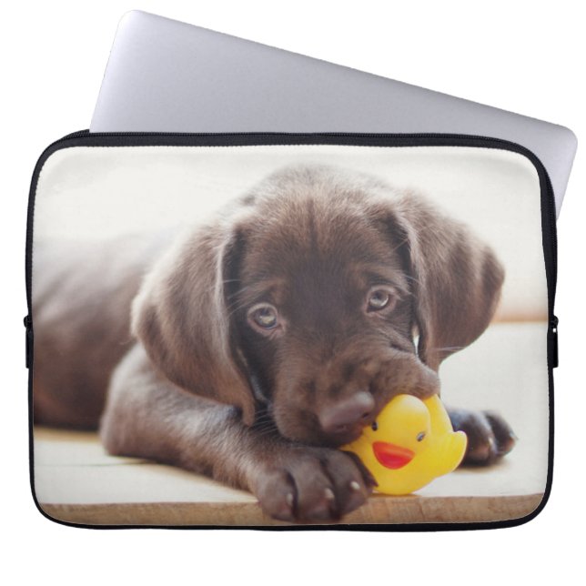 Capa Para Notebook Bebês Mais Pobres | Chocolate Labrador Puppy (Frente)