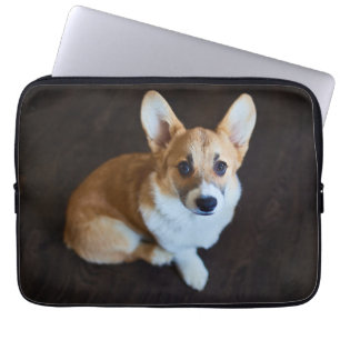 Capa Para Notebook Bebês Mais Pobres Corgi Procurando