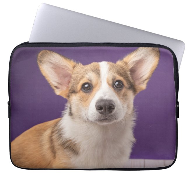 Capa Para Notebook Bebês Mais Pobres | Corgi Puppy em roxo (Frente)