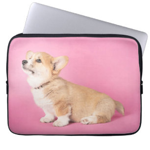 Capa Para Notebook Bebês Mais Pobres Corgi-Puppy rosa