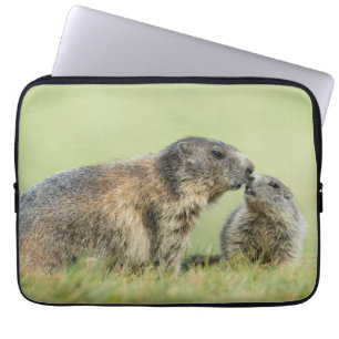 Capa Para Notebook Bebês Mais Pobres   Família Marmot Alpina