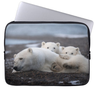 Capa Para Notebook Bebês Mais Pobres   Família Polar Bear Alaska