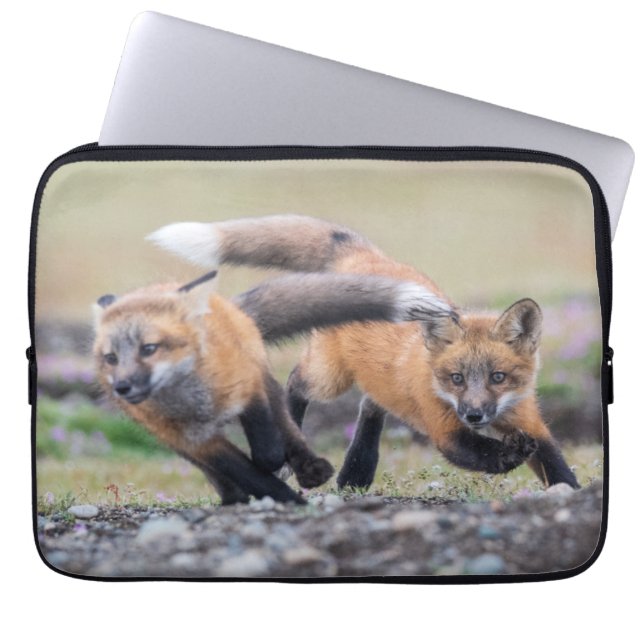 Capa Para Notebook Bebês Mais Pobres | Fox Pups em Play (Frente)