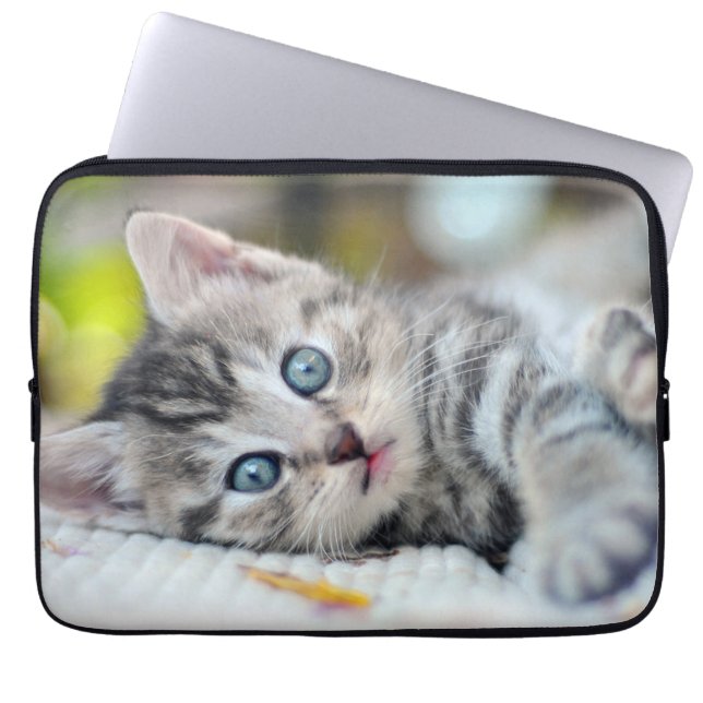 Capa Para Notebook Bebês Mais Pobres | Gatinho Com Olhos Azuis (Frente)