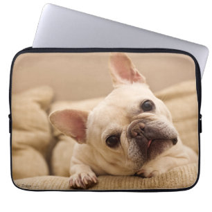 Capa Para Notebook Bebês Mais Pobres Inclinação da cabeça do Bulldo