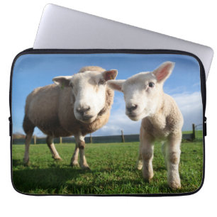 Capa Para Notebook Bebês Mais Pobres Lamb e mamãe recém-nascidos