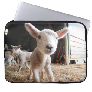 Capa Para Notebook Bebês Mais Pobres   Lâmpada cortada numa Fazenda
