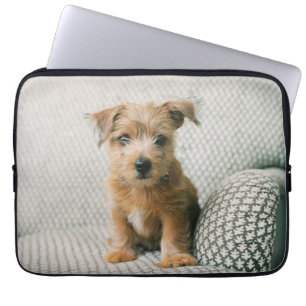 Capa Para Notebook Bebês Mais Pobres   Norfolk Terrier Puppy