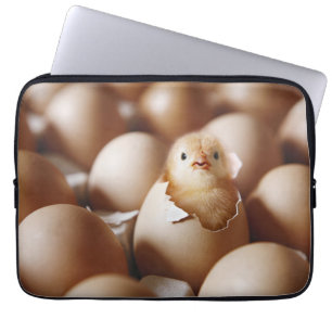 Capa Para Notebook Bebês Mais Pobres   Novo Pintinho