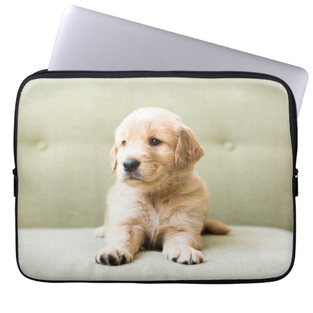 Capa Para Notebook Bebês Mais Pobres | Ouro Retriever Puppy (Frente)