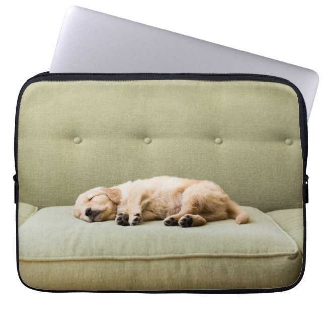 Capa Para Notebook Bebês Mais Pobres | Ouro Retriever Puppy 2 (Frente)
