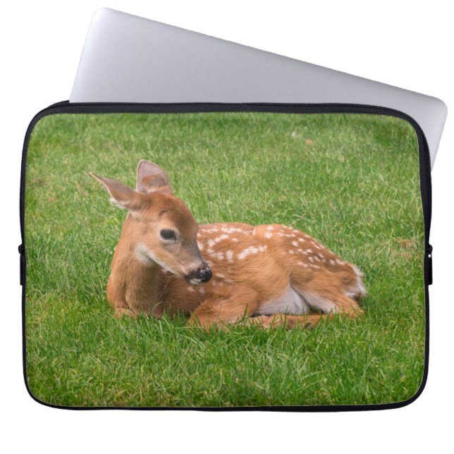 Capa Para Notebook Bebês Mais Pobres | Pequena Fawn (Frente)