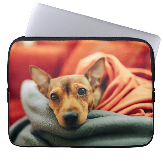 Capa Para Notebook Bebês Mais Pobres | Pinscher miniatura (Frente)