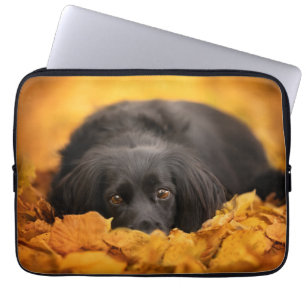 Capa Para Notebook Bebês Mais Pobres Puppia Espanhola Negra
