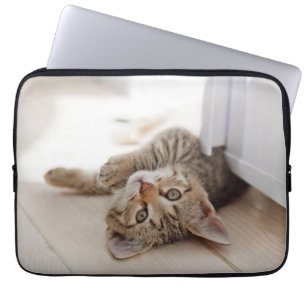 Capa Para Notebook Bebês Mais Pobres   Shorthair Tabby Kitten