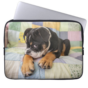 Capa Para Notebook Bebês Mais Pobres   Tímido Bulldog Inglês
