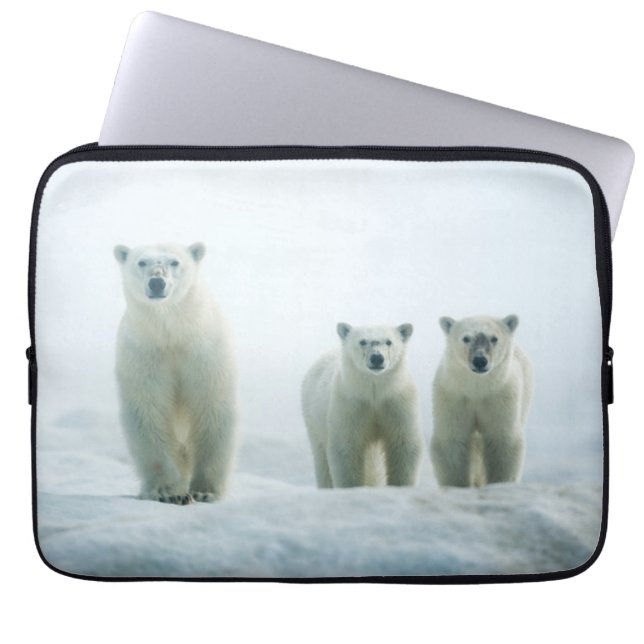 Capa Para Notebook Bebês Mais Pobres | Três Ursos Polares Jovens (Frente)