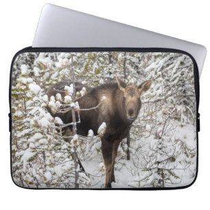 Capa Para Notebook Bebês Mais Pobres   Vitelo de Moose