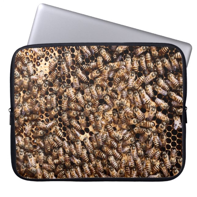 CAPA PARA NOTEBOOK BEEHIVE (Frente)