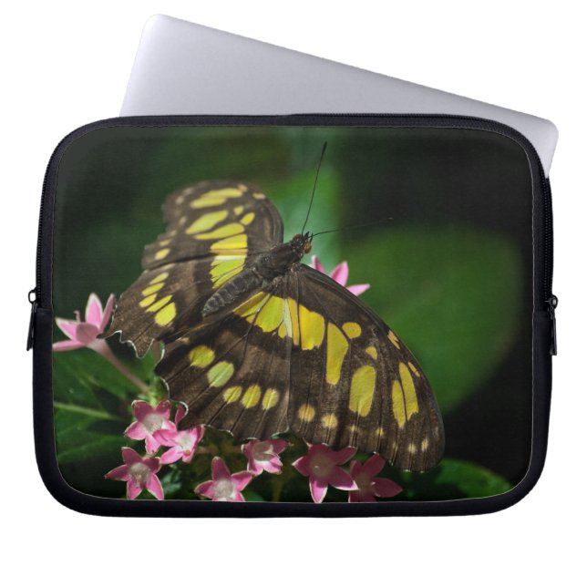 Capa Para Notebook Beleza na Bolsa de laptop das estrelas (Frente)