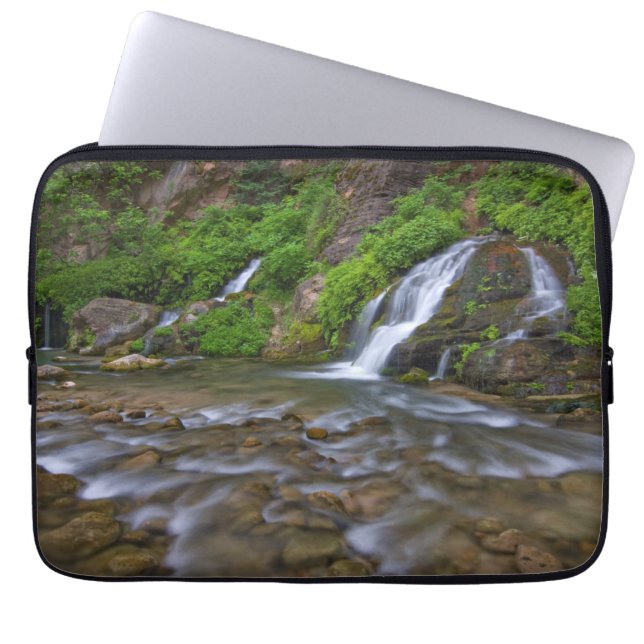 Capa Para Notebook Big Springs Virgin River | Parque Nacional Zion (Frente)