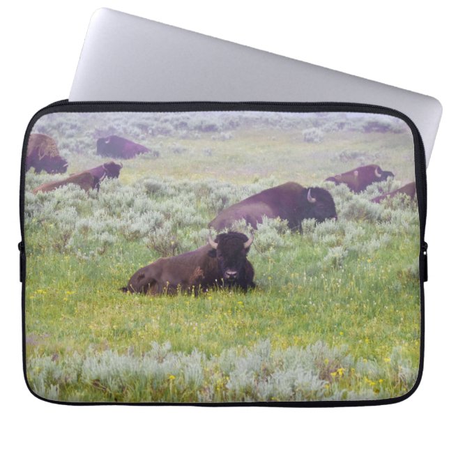 Capa Para Notebook Bison Dream Laptop Case (Frente)