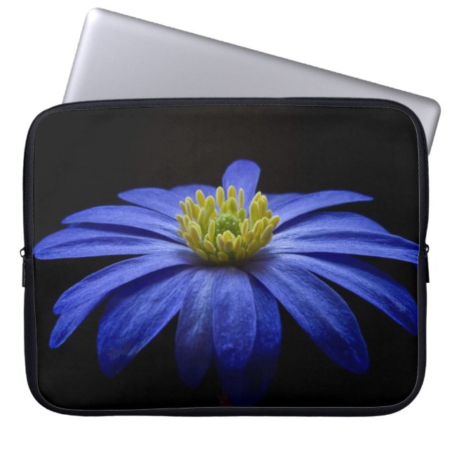 Capa Para Notebook Blue Daisy Gerbera Flower em preto (Frente)