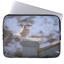 Capa Para Notebook Blue Jay