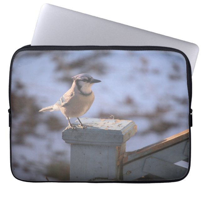 Capa Para Notebook Blue Jay (Frente)