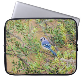 Capa Para Notebook Blue Jay sobre Myrtle da Cera do Sul