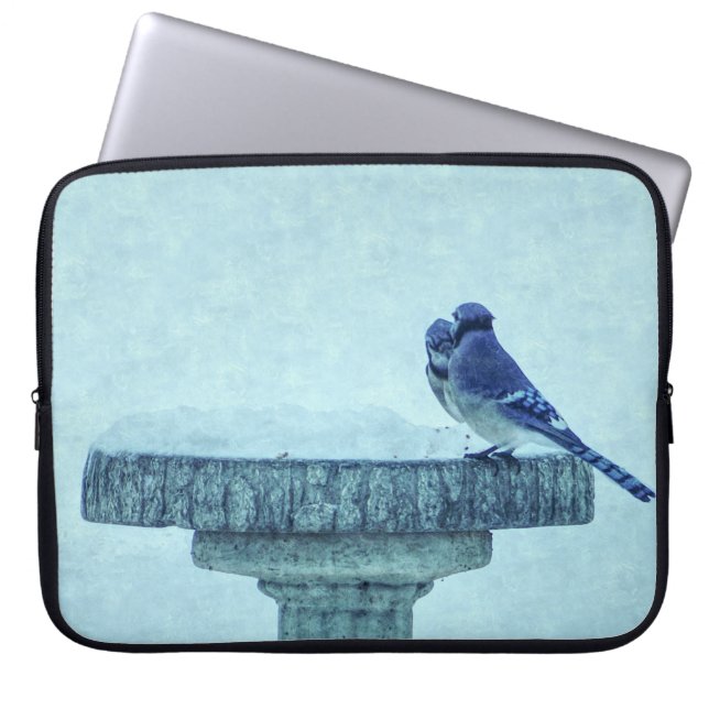 Capa Para Notebook Blue Jays Winter Feeding Painterly (Frente)