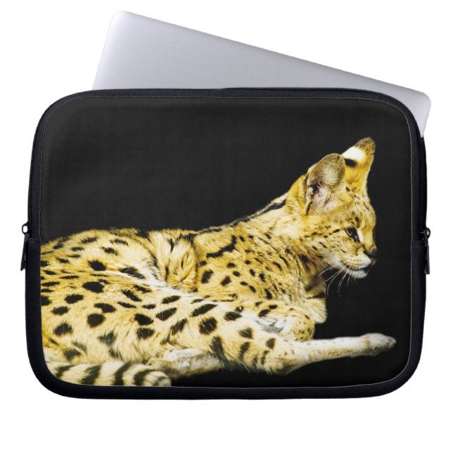Capa Para Notebook Bolsa de laptop (Frente)