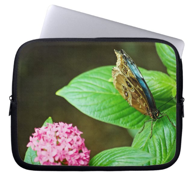 Capa Para Notebook Bolsa de laptop Blue Morpho 143 (Frente)