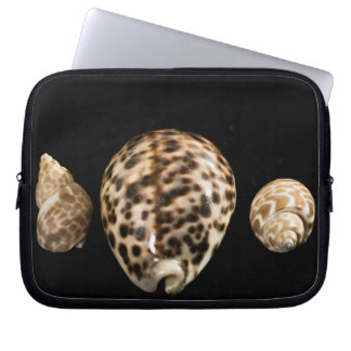 Capa Para Notebook Bolsa de laptop Cowrie Cones 2