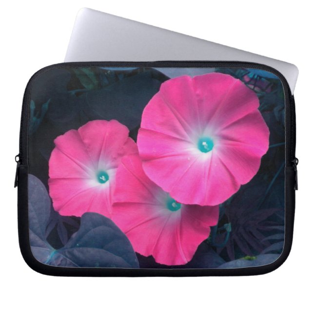 Capa Para Notebook Bolsa de laptop das Glórias da Manhã Rosa (Frente)