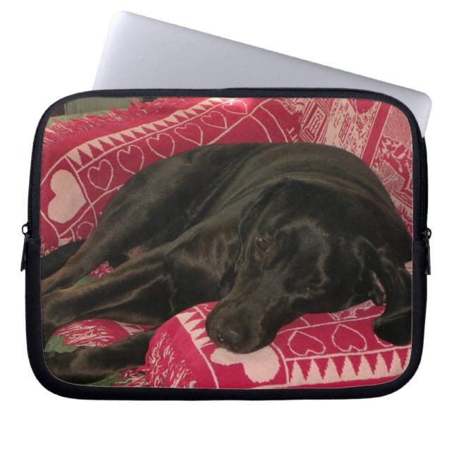 Capa Para Notebook Bolsa de laptop de Cachorro Sonolento (Frente)