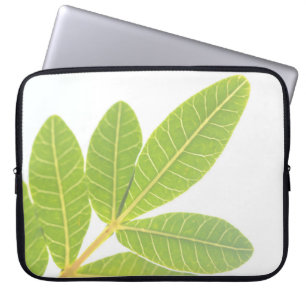 Capa Para Notebook Bolsa de laptop de padrão de folha de plantas sagr